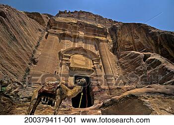 Stock Photography - jordan, petra, 
palace tombs, 
camel in front 
of renaissance 
tomb. fotosearch 
- search stock 
photos, pictures, 
images, and photo 
clipart