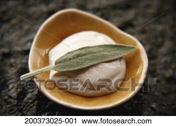 Stock Photography - sage leaf and 
face cream in 
bowl, elevated 
view (focus on 
sage leaf). fotosearch 
- search stock 
photos, pictures, 
images, and photo 
clipart