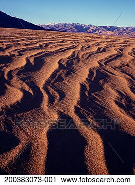 Stock Photography - usa, california, 
death valley national 
park, mesquite 
flat, sand dunes. 
fotosearch - search 
stock photos, 
pictures, images, 
and photo clipart