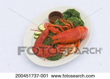 Stock Photography - cooked lobster 
on plate with 
sauce and salad, 
elevated view. 
fotosearch - search 
stock photos, 
pictures, images, 
and photo clipart