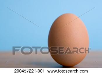 Stock Photography - egg, close-up. 
fotosearch - search 
stock photos, 
pictures, images, 
and photo clipart