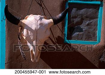 Stock Photography - usa, arizona, 
taos pueblo, cow 
skull on adobe 
hut, close-up. 
fotosearch - search 
stock photos, 
pictures, images, 
and photo clipart