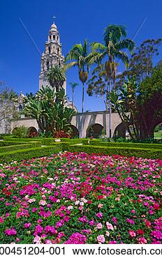 Stock Photography - usa, california, 
san diego, california 
tower, balboa 
park, gardens. 
fotosearch - search 
stock photos, 
pictures, images, 
and photo clipart