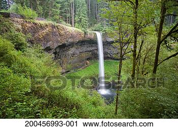 Stock Photography - usa, oregon, silver 
falls state park, 
silver falls (blurred 
motion). fotosearch 
- search stock 
photos, pictures, 
images, and photo 
clipart
