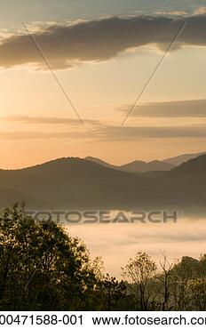 Stock Photography - usa, tennessee, 
great smoky mountains 
np, wear cove, 
dawn. fotosearch 
- search stock 
photos, pictures, 
images, and photo 
clipart