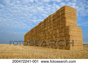 Stock Photography - france, lion en 
beauce, haystack 
in field. fotosearch 
- search stock 
photos, pictures, 
images, and photo 
clipart