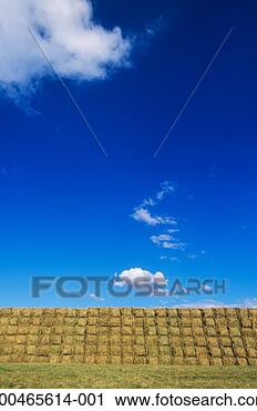 Stock Photography - usa, oregon, near 
portland, stacked 
hay bales against 
blue sky. fotosearch 
- search stock 
photos, pictures, 
images, and photo 
clipart