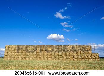 Stock Photography - usa, oregon, near 
portland, stacked 
hay bales against 
blue sky. fotosearch 
- search stock 
photos, pictures, 
images, and photo 
clipart