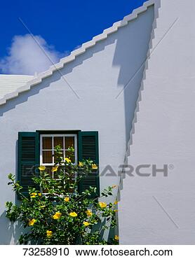 Stock Photography - caribbean,  bermuda, 
 st george's parish, 
 st george,  flowers. 
fotosearch - search 
stock photos, 
pictures, images, 
and photo clipart