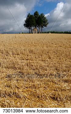 Stock Photo - small chapel in 
corn field. fotosearch 
- search stock 
photos, pictures, 
images, and photo 
clipart