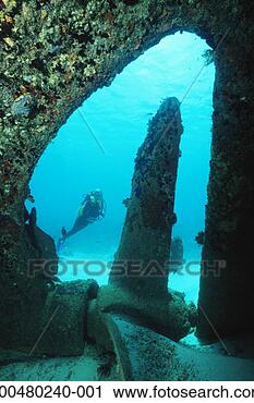 Stock Photography - tanzania, pemba 
island, female 
diver exploring 
steam freighter. 
fotosearch - search 
stock photos, 
pictures, images, 
and photo clipart