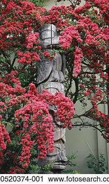 Stock Photography - totem pole, tree 
in bloom, outside. 
fotosearch - search 
stock photos, 
pictures, images, 
and photo clipart