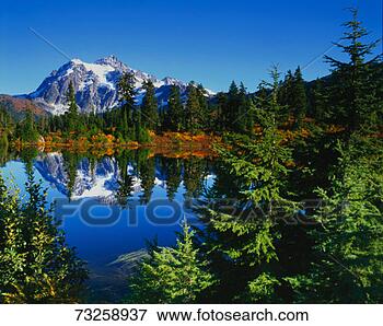 Picture - usa,  washington, 
 whatcom county, 
 mount baker-snoqualmie 
national. fotosearch 
- search stock 
photos, pictures, 
images, and photo 
clipart
