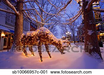 Stock Photography - usa, colorado, 
boulder, christmas 
decoration at 
pearl street mall. 
fotosearch - search 
stock photos, 
pictures, images, 
and photo clipart