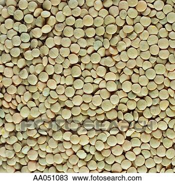 Stock Photo - green lentils 
(full frame). 
fotosearch - search 
stock photos, 
pictures, images, 
and photo clipart