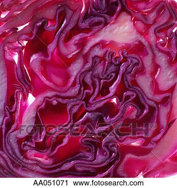 Stock Photography - red cabbage, cross-section 
(full frame). 
fotosearch - search 
stock photos, 
pictures, images, 
and photo clipart
