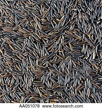 Stock Photo - wild rice (full 
frame). fotosearch 
- search stock 
photos, pictures, 
images, and photo 
clipart
