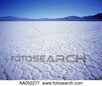 Picture - usa, nevada, dry 
lake bed, spring. 
fotosearch - search 
stock photos, 
pictures, images, 
and photo clipart