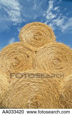 Stock Photography - hay bales, la 
mancha, spain. 
fotosearch - search 
stock photos, 
pictures, images, 
and photo clipart