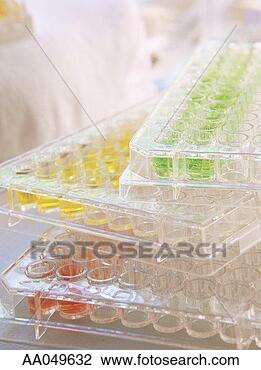 Stock Photo - stacked culture 
trays in lab. 
fotosearch - search 
stock photos, 
pictures, images, 
and photo clipart