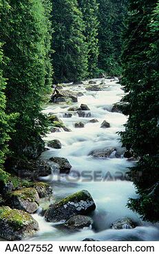 Stock Photo - flowing stream, 
slovenia. fotosearch 
- search stock 
photos, pictures, 
images, and photo 
clipart