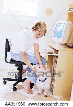 Stock Photography - mature woman sitting 
at computer, petting 
west higland terrier. 
fotosearch - search 
stock photos, 
pictures, images, 
and photo clipart