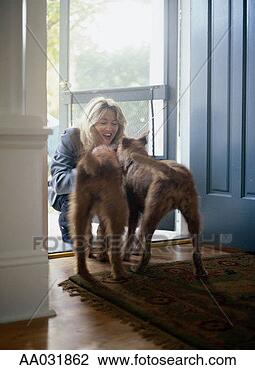 Stock Photo - woman greeting 
irish terriers 
at front door. 
fotosearch - search 
stock photos, 
pictures, images, 
and photo clipart
