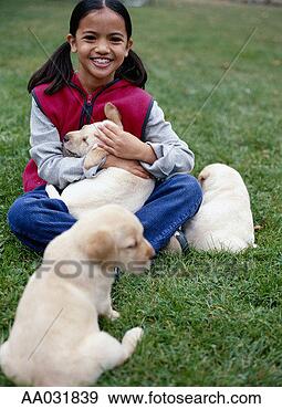 Stock Photograph - young girl with 
three yellow lab 
pups. fotosearch 
- search stock 
photos, pictures, 
images, and photo 
clipart