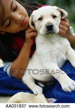 Picture - young girl with 
yellow lab pup. 
fotosearch - search 
stock photos, 
pictures, images, 
and photo clipart