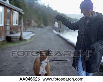 Stock Image - young woman walking 
boxer dog on beach, 
carrying dog toy. 
fotosearch - search 
stock photos, 
pictures, images, 
and photo clipart