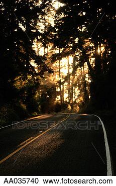 Stock Photography - wooded road. fotosearch 
- search stock 
photos, pictures, 
images, and photo 
clipart