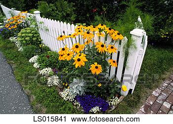 Stock Photography - flowers bordering 
white picket fence, 
elevated view. 
fotosearch - search 
stock photos, 
pictures, images, 
and photo clipart