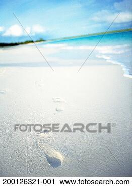 Stock Photography - british west indies, 
anguilla, footprints 
on white sandy 
beach. fotosearch 
- search stock 
photos, pictures, 
images, and photo 
clipart