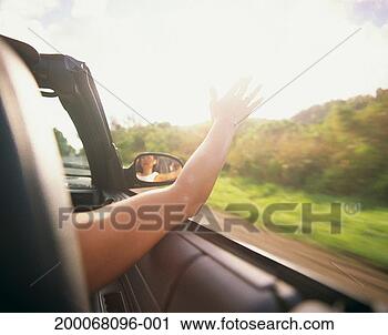 Stock Photography - woman riding in 
convertible car, 
arm outstretched, 
rear view. fotosearch 
- search stock 
photos, pictures, 
images, and photo 
clipart