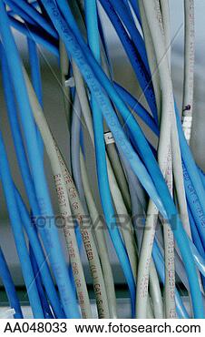 Stock Photo - network cables, 
close-up. fotosearch 
- search stock 
photos, pictures, 
images, and photo 
clipart
