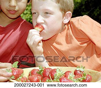 Stock Photography - two boys (8-10) 
eating strawberries 
outdoors, close-up. 
fotosearch - search 
stock photos, 
pictures, images, 
and photo clipart