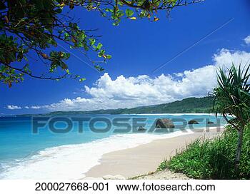 Stock Photography - indonesia, sumba, 
tropical beach. 
fotosearch - search 
stock photos, 
pictures, images, 
and photo clipart
