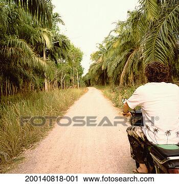 Stock Photography - thailand, krabi, 
young man riding 
scooter on forest 
road, rear view. 
fotosearch - search 
stock photos, 
pictures, images, 
and photo clipart