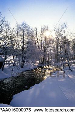 Stock Image - sweden, snowy 
woods with stream 
and sunshine. 
fotosearch - search 
stock photos, 
pictures, images, 
and photo clipart