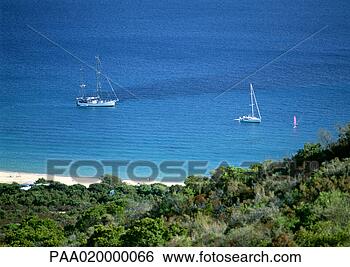 Stock Photo - corsica, boats 
in harbor. fotosearch 
- search stock 
photos, pictures, 
images, and photo 
clipart