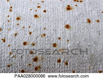 Stock Photo - paper with rust-colored 
spots, extreme 
close-up. fotosearch 
- search stock 
photos, pictures, 
images, and photo 
clipart