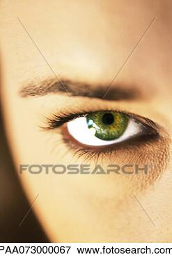 Picture - woman's green 
eye and eyebrow, 
extreme close 
up. fotosearch 
- search stock 
photos, pictures, 
images, and photo 
clipart