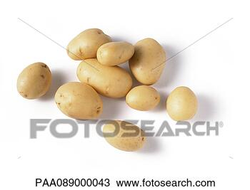 Stock Photo - potatoes. fotosearch 
- search stock 
photos, pictures, 
images, and photo 
clipart