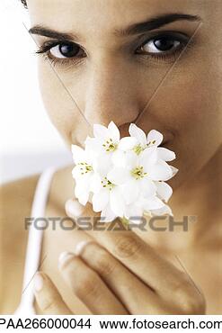 Stock Photo - woman holding 
white flowers 
to nose, looking 
at camera, close-up. 
fotosearch - search 
stock photos, 
pictures, images, 
and photo clipart
