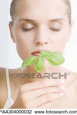 Stock Photo - woman smelling 
sprig of basil. 
fotosearch - search 
stock photos, 
pictures, images, 
and photo clipart