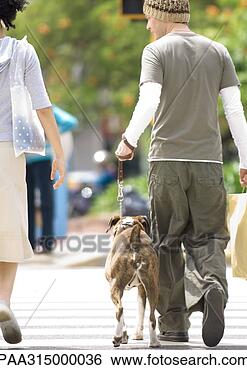 Stock Photo - young couple with 
dog crossing street. 
fotosearch - search 
stock photos, 
pictures, images, 
and photo clipart