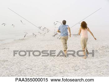 Stock Image - couple running 
on beach toward 
scattering seagulls. 
fotosearch - search 
stock photos, 
pictures, images, 
and photo clipart