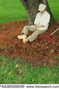 Stock Photograph - gardener napping 
under tree. fotosearch 
- search stock 
photos, pictures, 
images, and photo 
clipart