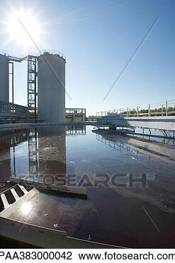 Stock Photo - paper plant. fotosearch 
- search stock 
photos, pictures, 
images, and photo 
clipart