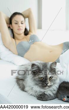Arquivo Fotográficos - jovem,   mulher, 
  mentindo,   
cama,   roupa 
interior,   gato. 
fotosearch - busca 
de fotos, imagens 
e clipart